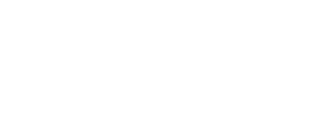 Fluendora
